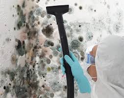 Why You Should Choose Our Mold Remediation Services in Pepper Pike, OH